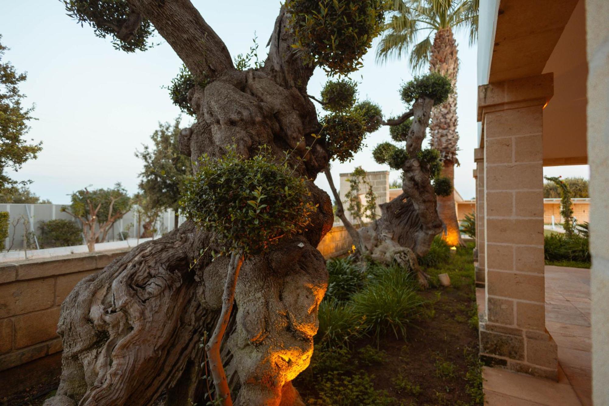 Don Onofrio Villa โมโนโปลี ภายนอก รูปภาพ